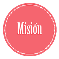 mision web y seo desarrollo de paginas web en mexico